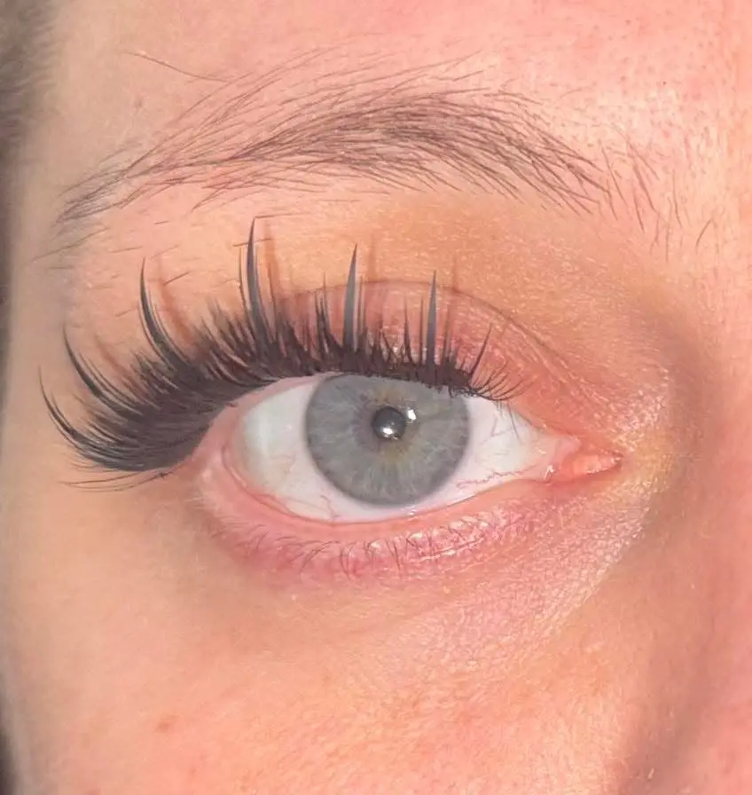 Close-up of natural cluster lash set on blue-grey eye
